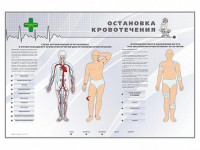 Электрифицированный стенд "Остановка кровотечения" - fgospostavki.ru - Обнинск