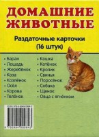 Раздаточные карточки "Домашние животные" - fgospostavki.ru - Обнинск