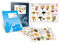 Комплект кодотранспарантов "Грибы" - fgospostavki.ru - Обнинск