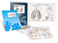 Комплект кодотранспарантов "Человек и его здоровье. Дыхание" - fgospostavki.ru - Обнинск