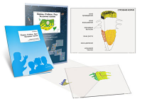 Комплект кодотранспарантов "Корень. Стебель. Лист (Внутреннее строение)" - fgospostavki.ru - Обнинск