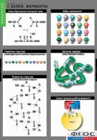 Комплект таблиц. Биология. Химия клетки. - fgospostavki.ru - Обнинск