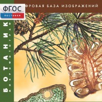 Ботаника. Микрофотографии. (Цифровая база изображений) - fgospostavki.ru - Обнинск