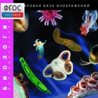 Биология. Микрофотографии. (Цифровая база изображений) - fgospostavki.ru - Обнинск