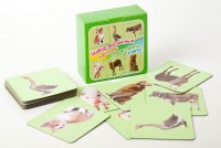 Набор магнитных карточек "Устный счет" (фон зеленый) - fgospostavki.ru - Обнинск