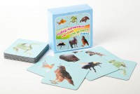 Набор магнитных карточек "Устный счет" (фон голубой) - fgospostavki.ru - Обнинск