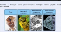 Интерактивные курсы. Биология 5 класс. Расширенный - fgospostavki.ru - Обнинск