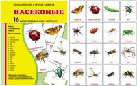 Демонстрационные карточки "Насекомые" - fgospostavki.ru - Обнинск