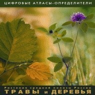 Растения средней полосы России "Травы и Деревья". (Цифровые атласы-определители) - fgospostavki.ru - Обнинск