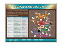 Интерактивный электрифицированный стенд "Эволюция животного мира" - fgospostavki.ru - Обнинск