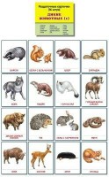 Раздаточные карточки "Дикие животные (1)" - fgospostavki.ru - Обнинск