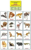 Раздаточные карточки "Дикие животные (2)" - fgospostavki.ru - Обнинск