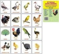 Раздаточные карточки "Птицы домашние и декоративные" - fgospostavki.ru - Обнинск