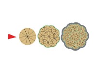 Магнитная математика Наталии Пятибратовой (Числовые фигуры) - fgospostavki.ru - Обнинск