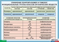 Таблица. Сравнение понятий изомер и гомолог. Функциональные группы классов органических веществ. - fgospostavki.ru - Обнинск