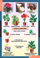 Комплект таблиц. Окружающий мир 1 класс. - fgospostavki.ru - Обнинск