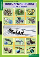 Комплект таблиц. Окружающий мир 4 класс. - fgospostavki.ru - Обнинск