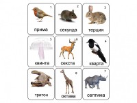 Набор магнитных карточек по музыке "Животные" (9 штук) - fgospostavki.ru - Обнинск