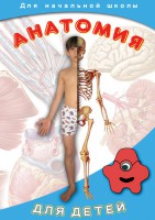 DVD "Анатомия для детей" - fgospostavki.ru - Обнинск