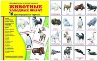 Демонстрационные карточки "Животные холодных широт" - fgospostavki.ru - Обнинск