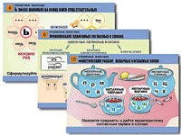 Комплект таблиц "Русский язык. Орфография" (14 таблиц, формат А1, ламинированные) - fgospostavki.ru - Обнинск
