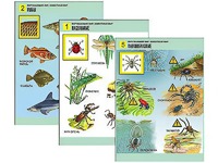 Комплект таблиц "Окружающий мир. Животный мир" (8 таблиц, А1, ламинированные) - fgospostavki.ru - Обнинск