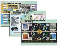 Комплект таблиц "Окружающий мир. Изменения в живой и неживой природе" (10 таблиц, А1, ламинированные) - fgospostavki.ru - Обнинск