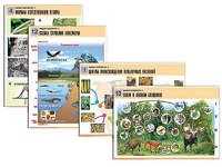 Комплект таблиц по биологии демонстрационных "Общая биология 2" (14 таблиц, формат А1, ламинированные) - fgospostavki.ru - Обнинск