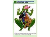 Рельефная таблица "Внутреннее строение лягушки" (формат А1, матовое ламинирование) - fgospostavki.ru - Обнинск