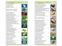 Комплект карточек (10) "Обучающий калейдоскоп. Природа" - fgospostavki.ru - Обнинск
