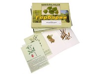 Гербарий "Для начальной школы" (30 видов, с иллюстрациями) - fgospostavki.ru - Обнинск
