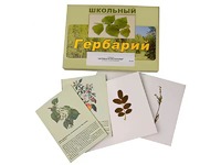 Гербарий "Деревья и кустарники" (22 вида, с иллюстрациями) - fgospostavki.ru - Обнинск