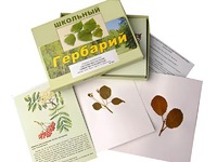 Гербарий "Систематика растений. Семейство Розоцветные" (раздаточный) - fgospostavki.ru - Обнинск