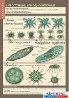 Комплект таблиц. Биология 7 класс. Животные. - fgospostavki.ru - Обнинск