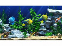 Интерактивный аттракционный комплекс "Водный мир" - fgospostavki.ru - Обнинск