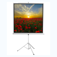 Экран на штативе DSKD-1105  - fgospostavki.ru - Обнинск