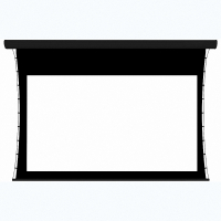 Экран настенный с электроприводом DSTPX-16915 - fgospostavki.ru - Обнинск