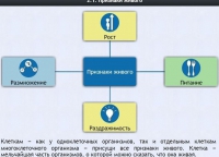 Интерактивные курсы. Биология 5 класс. Базовый - fgospostavki.ru - Обнинск