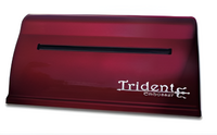 Принтер для печати рельефно-точечным шрифтом Брайля Trident - fgospostavki.ru - Обнинск