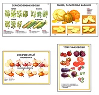 Плакаты ПРОФТЕХ "Ассортимент овощных культур" (12 пл, винил, 70х100) - fgospostavki.ru - Обнинск