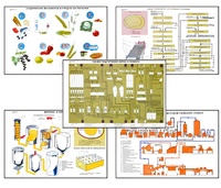 Плакаты ПРОФТЕХ "Сырье и материалы хлебопекарного производства" (20 пл, винил, 70х100) - fgospostavki.ru - Обнинск