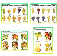 Плакаты ПРОФТЕХ "Ассортимент плодово-ягодных культур" (19 пл, винил, 70х100) - fgospostavki.ru - Обнинск