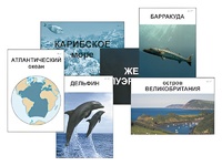 Модель-аппликация "Океаны. Знакомство" (ламинированная) - fgospostavki.ru - Обнинск