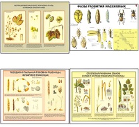 Плакаты ПРОФТЕХ "Вредители и болезни с/х культур и меры борьбы с ними" (11 пл, винил, 70х100) - fgospostavki.ru - Обнинск