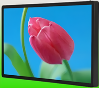 Киоск информационный настенный сенсорный 27" (вариант 2) - fgospostavki.ru - Обнинск