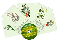 Интерактивный наглядный комплекс "Гербарий "Для начальной школы" - fgospostavki.ru - Обнинск