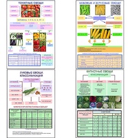 Плакаты ПРОФТЕХ "Классификация овощей" (11 пл, винил, 70х100) - fgospostavki.ru - Обнинск
