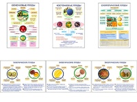 Плакаты ПРОФТЕХ "Плоды" (6 пл, винил, 70х100) - fgospostavki.ru - Обнинск