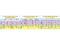 Плакаты ПРОФТЕХ "Ассортимент продовольственных товаров" (3 пл, винил, 70х100) - fgospostavki.ru - Обнинск