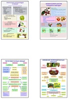 Плакаты ПРОФТЕХ "Классификация овощей и переработка" (8 пл, винил, 70х100) - fgospostavki.ru - Обнинск